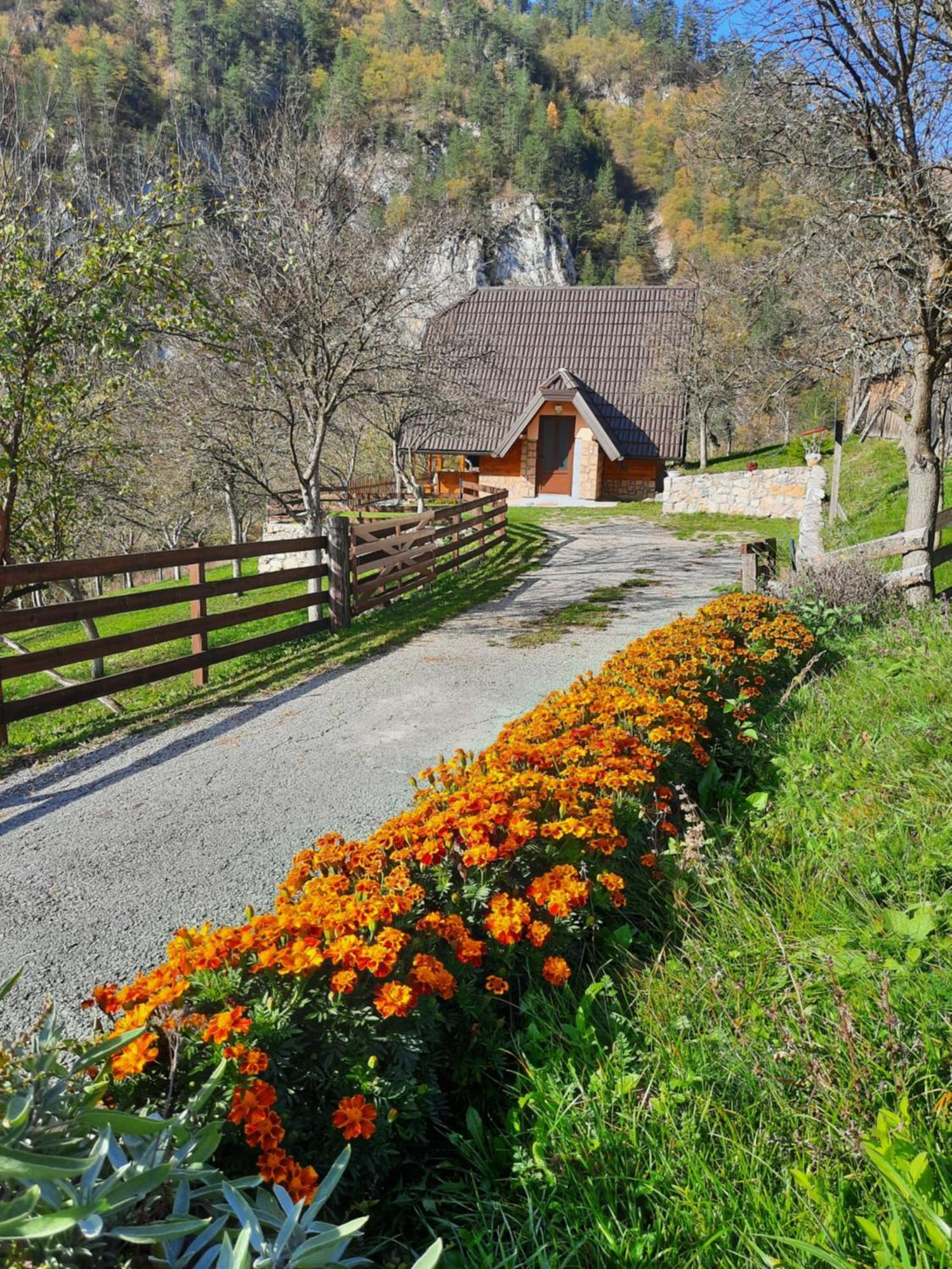 Vikendica Neven Holiday home *